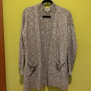 Madewell Gray Cardigan Sweater